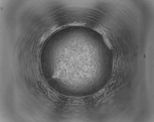 X0000087310337200704271408