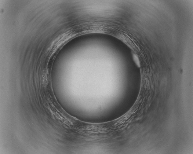 X0000087310338200704271408
