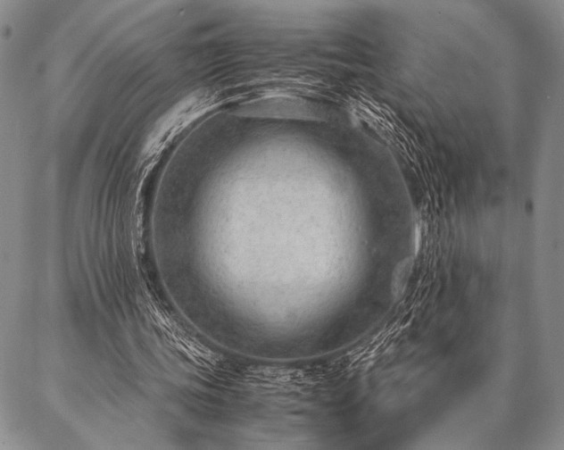 X0000087310339200704271408