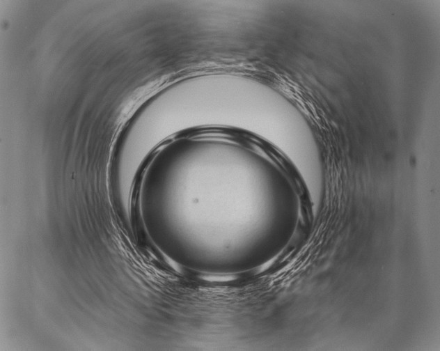 X0000087310340200704271408