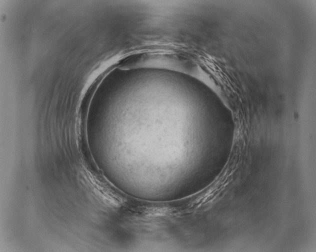 X0000087310342200704271408
