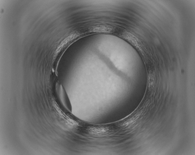 X0000087310349200704271408
