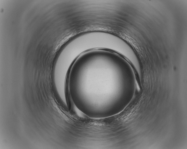 X0000087310352200704271408
