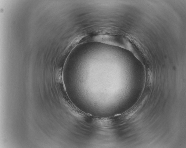 X0000087310383200704271408