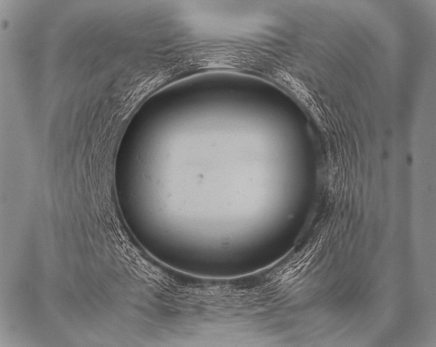 X0000087310385200704271408