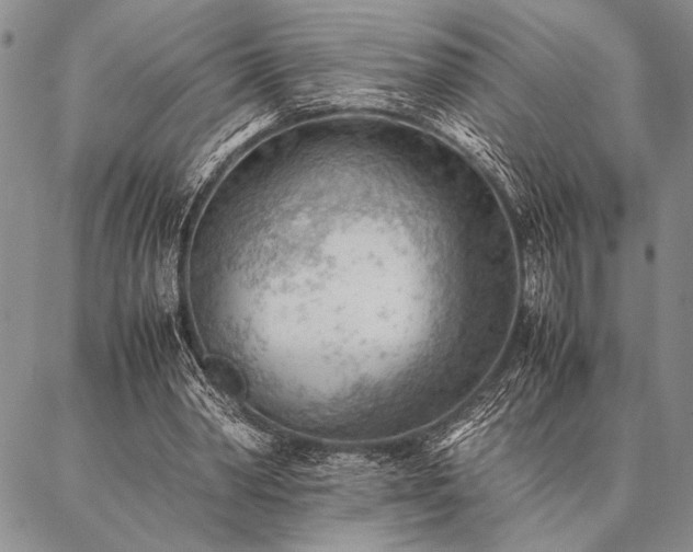 X0000087310390200704271408
