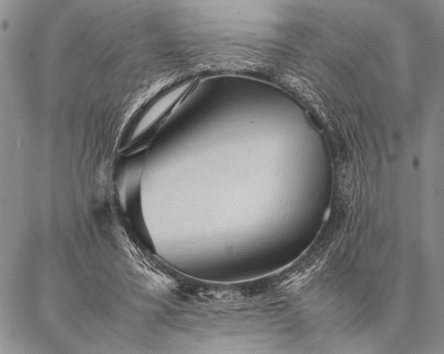 X0000087310395200704271407