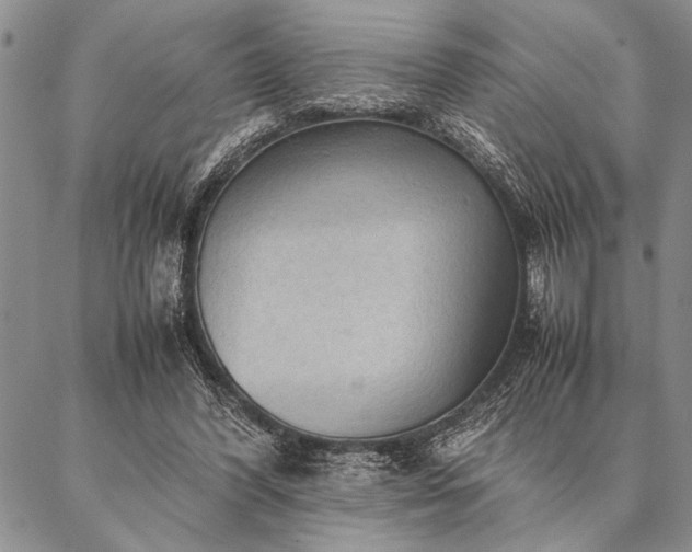 X0000087310396200704271407