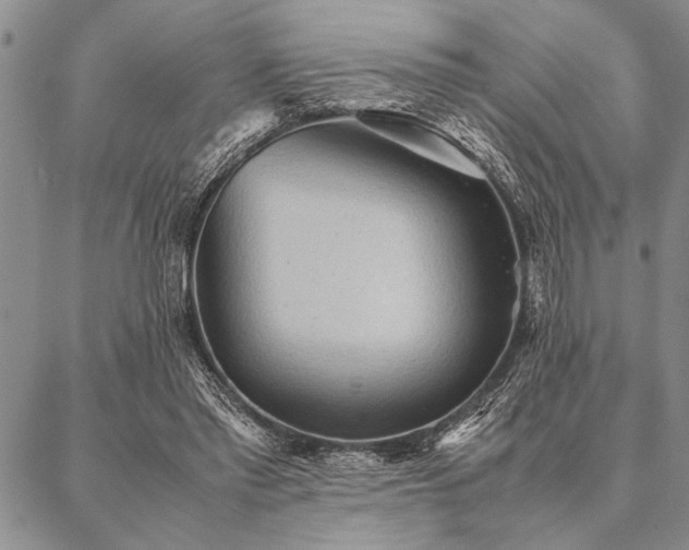 X0000087310397200704271407