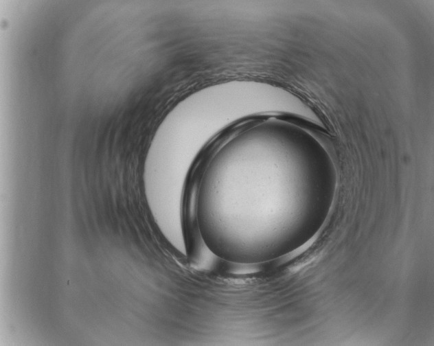 X0000087310432200704271407