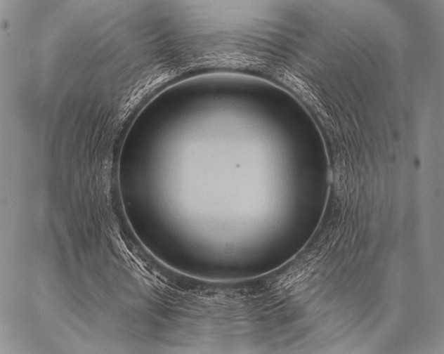 X0000087310434200704271406