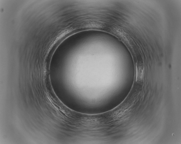 X0000087310435200704271406