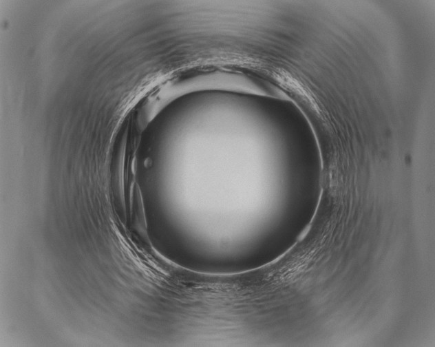X0000087310436200704271406