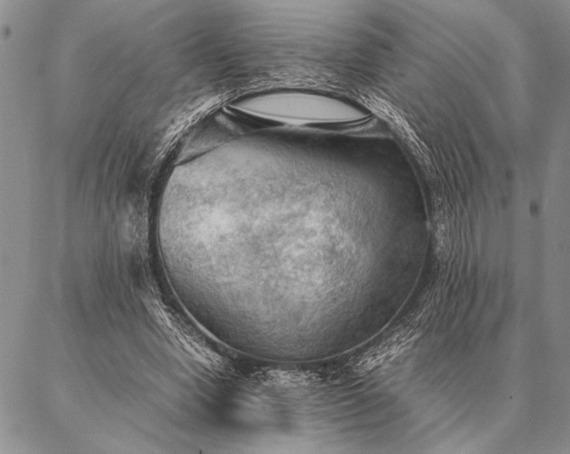 X0000087310442200704271406