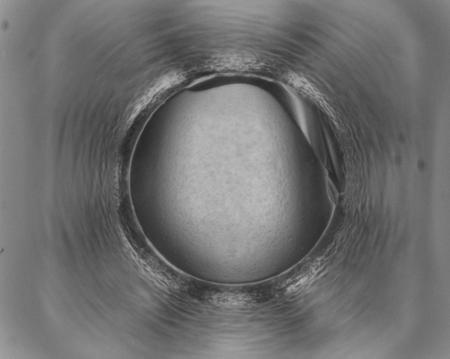 X0000087310444200704271406