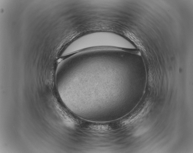 X0000087310449200704271406