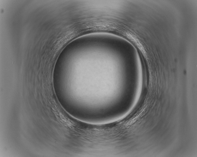 X0000087310481200704271406