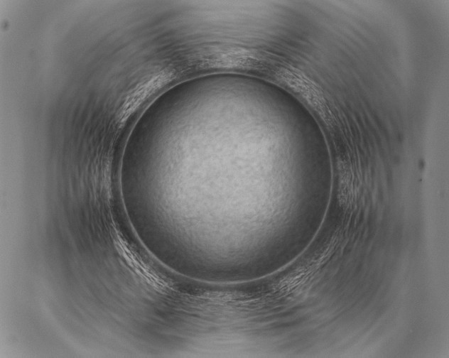 X0000087310482200704271406