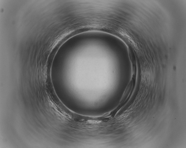 X0000087310484200704271406