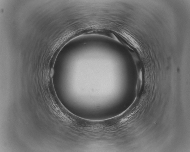X0000087310485200704271406