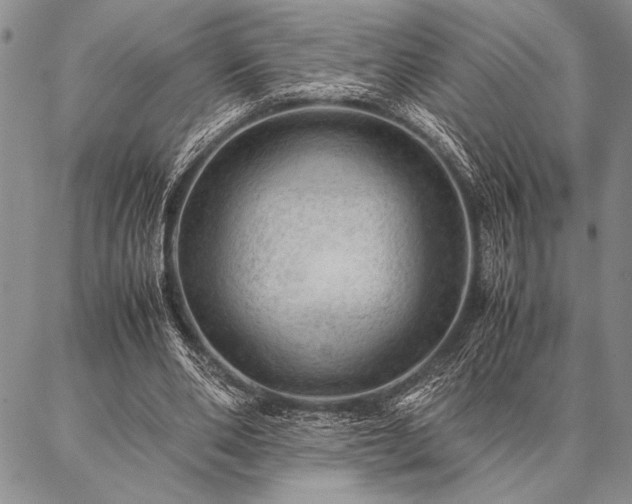 X0000087310486200704271406