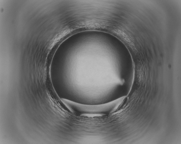 X0000087310488200704271406