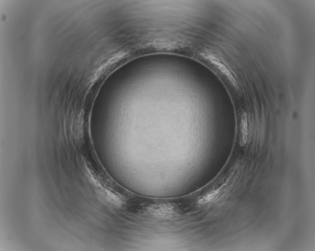 X0000087310492200704271406