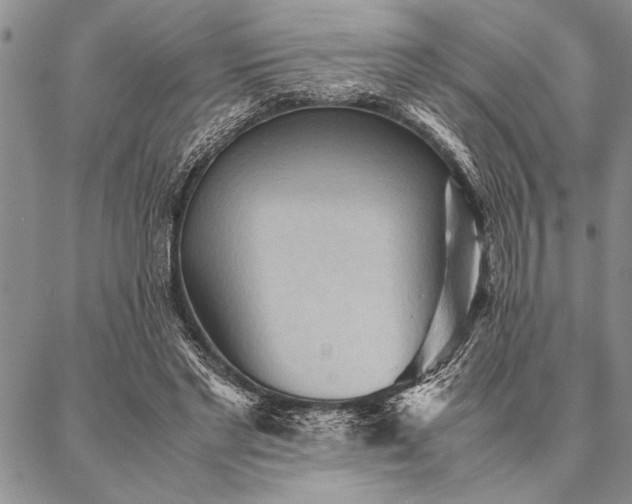 X0000087310493200704271406