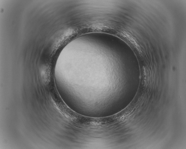 X0000087310496200704271406