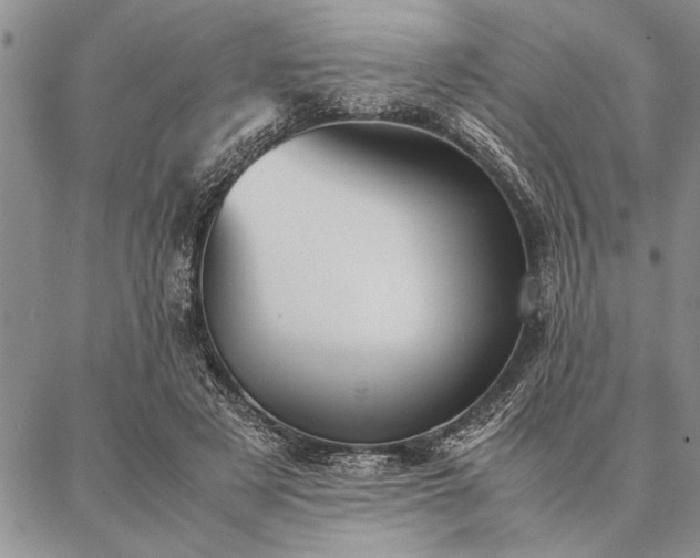 X0000087310497200704271406