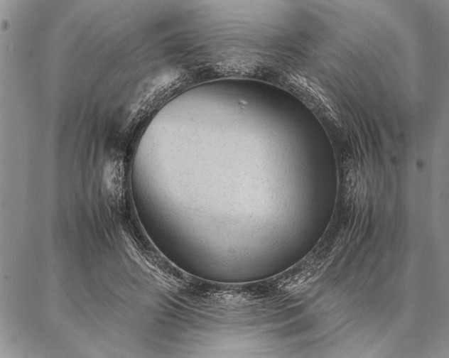 X0000087310498200704271406