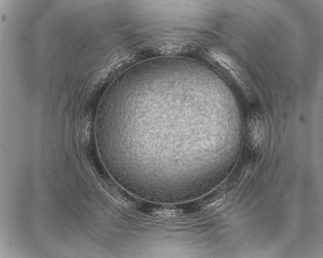 X0000087310499200704271406