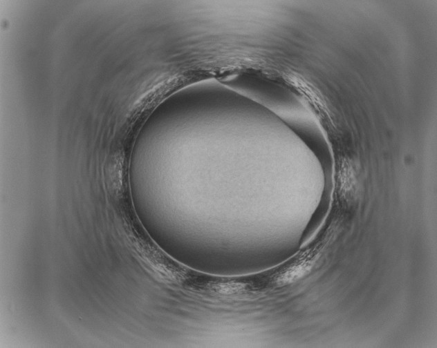 X0000087310501200704271406