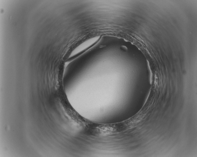 X0000087310512200704271406