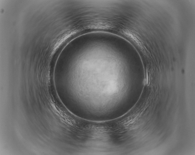 X0000087310531200704271405