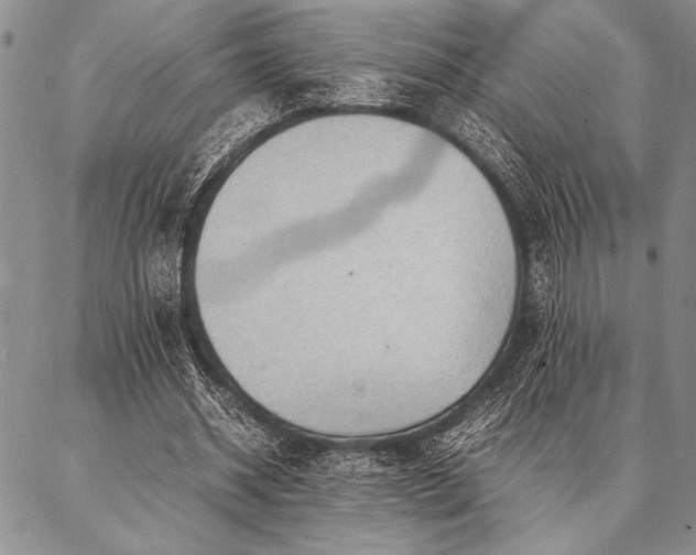 X0000087310534200704271405