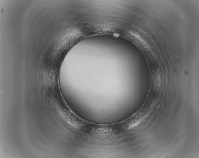 X0000087310546200704271405