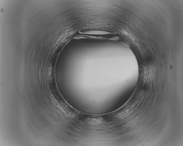 X0000087310548200704271405