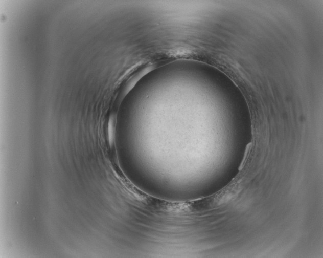 X0000087310576200704271405