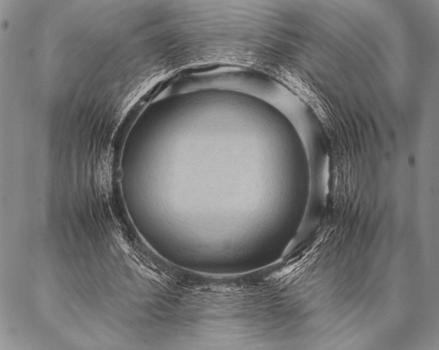 X0000087310580200704271404