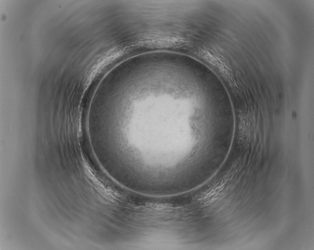 X0000087310582200704271404