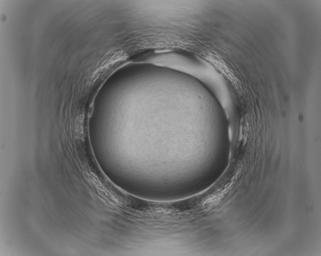 X0000087310585200704271404