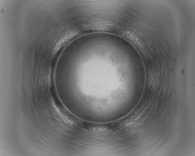 X0000087310586200704271404