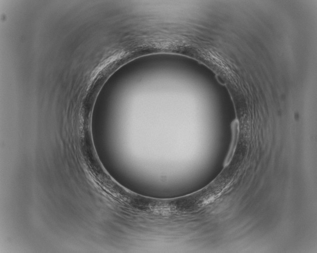 X0000087310587200704271404