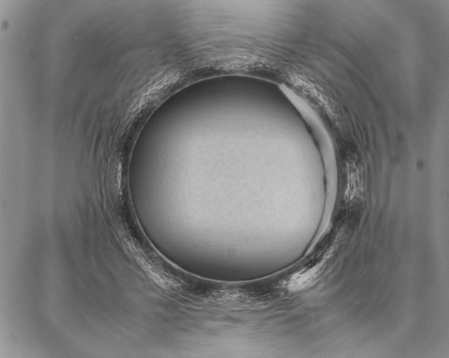 X0000087310589200704271404