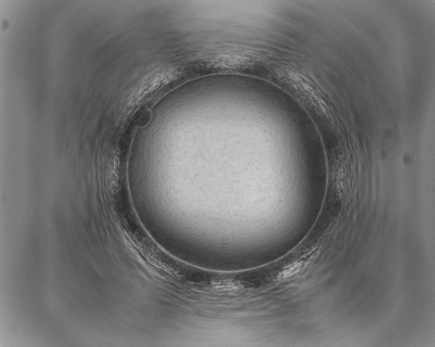 X0000087310591200704271404