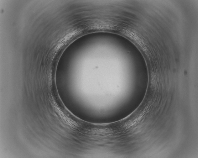 X0000087310629200704271403