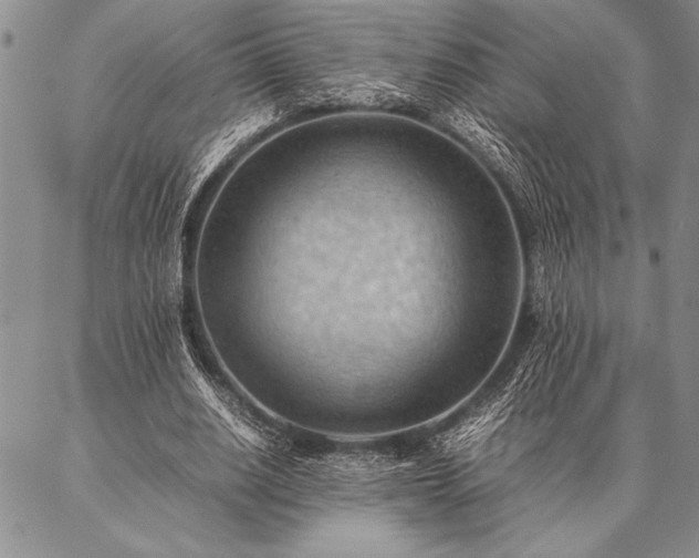 X0000087310630200704271403