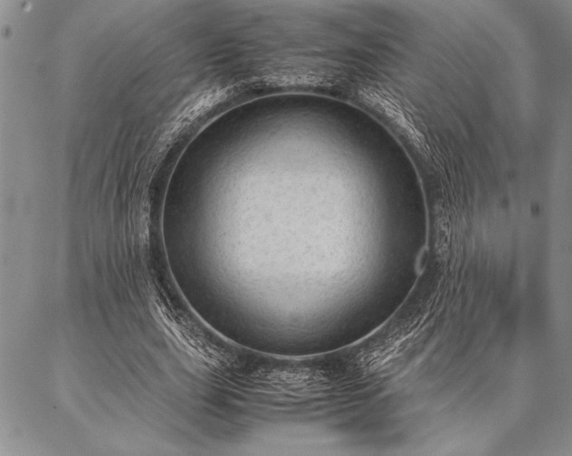 X0000087310631200704271403