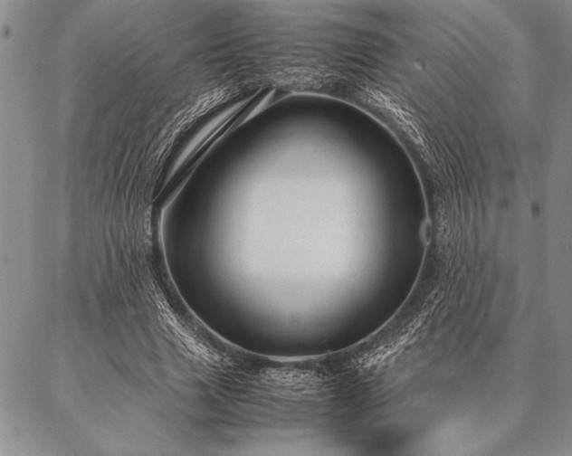 X0000087310633200704271403